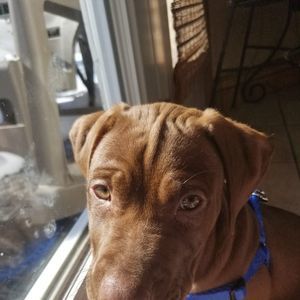 Meet your Posher, Kaylee